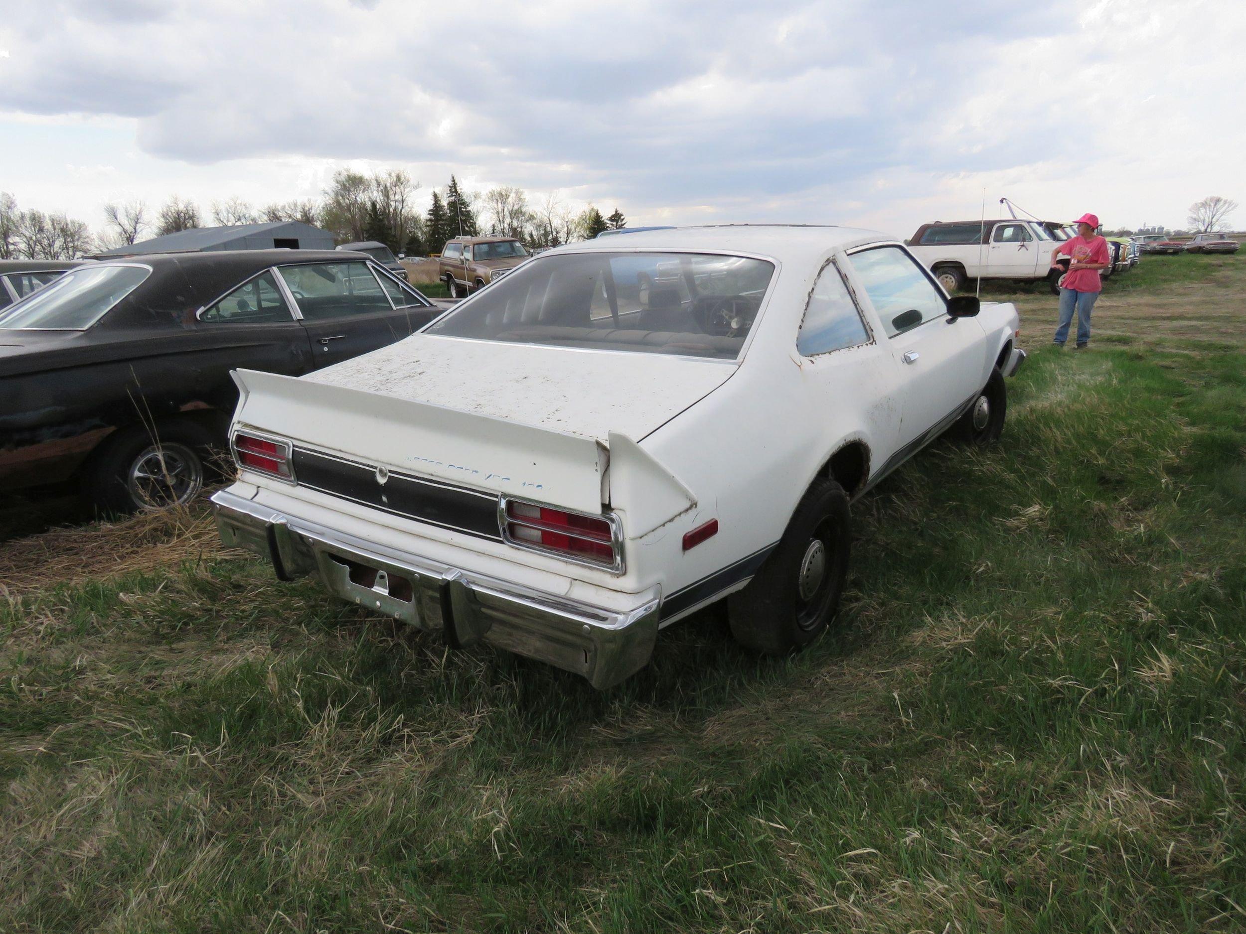 1976 Plymouth Road Runner 2DR HT