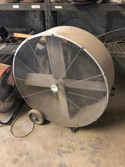 Shop Fan