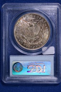 1884-O MS62, PCGS Morgan Silver Dollar
