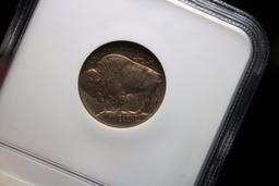 1913 Type 1 MS62, NGC Buffalo Indian Head Nickel