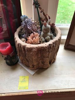 Lot of Pictures and plants