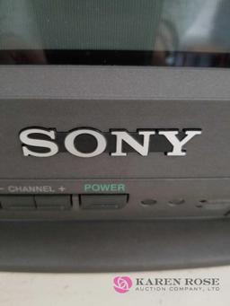 D - Sony Television