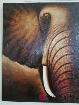 LR - Elephant Picture