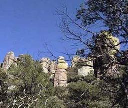 GovernmentAuction.com AZ LAND, 10 AC., RANCHETTE-APACHE