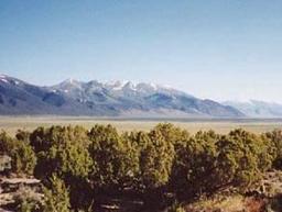 GovernmentAuction.com NV LAND, 40 AC., LARGE ACREAGE!