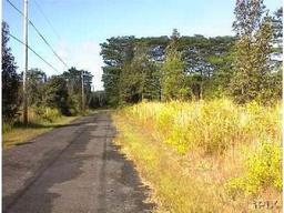 GovernmentAuction.com HI LAND, 8,040 SQ.FT., BIG ISLAND