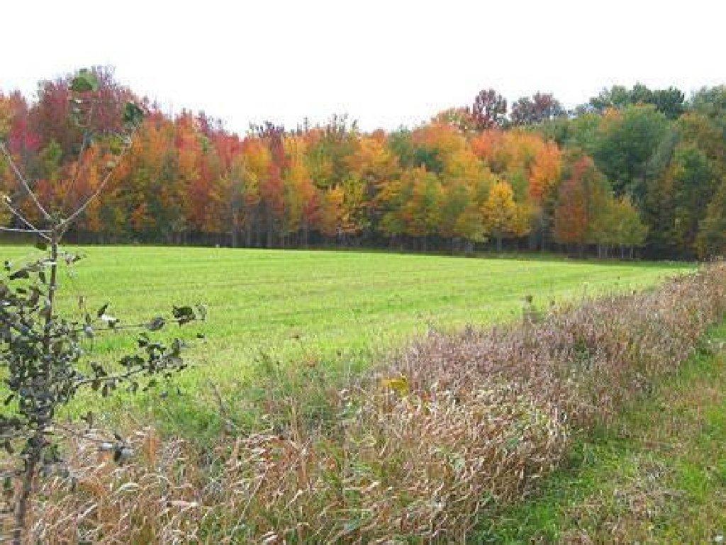 GovernmentAuction.com CANADA LAND, 160 AC., ONTARIO