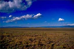 GovernmentAuction.com NM LAND, 10 AC., LUNA COUNTY,