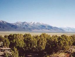 GovernmentAuction.com NV LAND, 640 AC., LARGE ACREAGE!