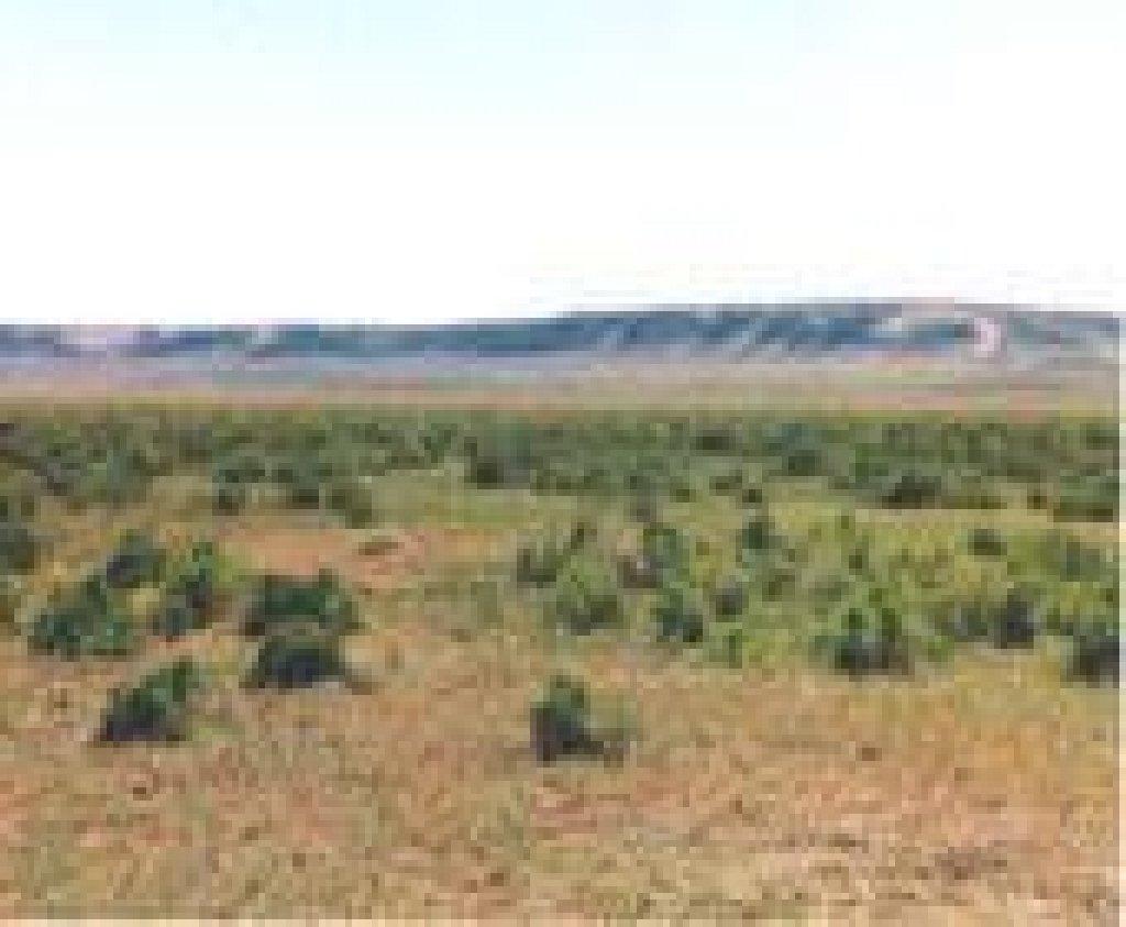 GovernmentAuction.com WY LAND, 40 AC., SWEETWATER, HUNTING,