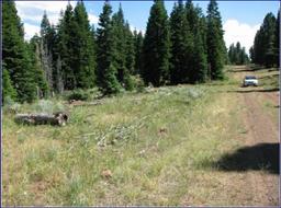 BREATHTAKING CALIFORNIA LAND! CALIFORNIA PINES SUBDIVISION! EXCELLENT INVESTMENT! TAKE OVER PAYMENTS