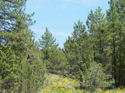 BREATHTAKING CALIFORNIA LAND! CALIFORNIA PINES SUBDIVISION! EXCELLENT INVESTMENT! TAKE OVER PAYMENTS