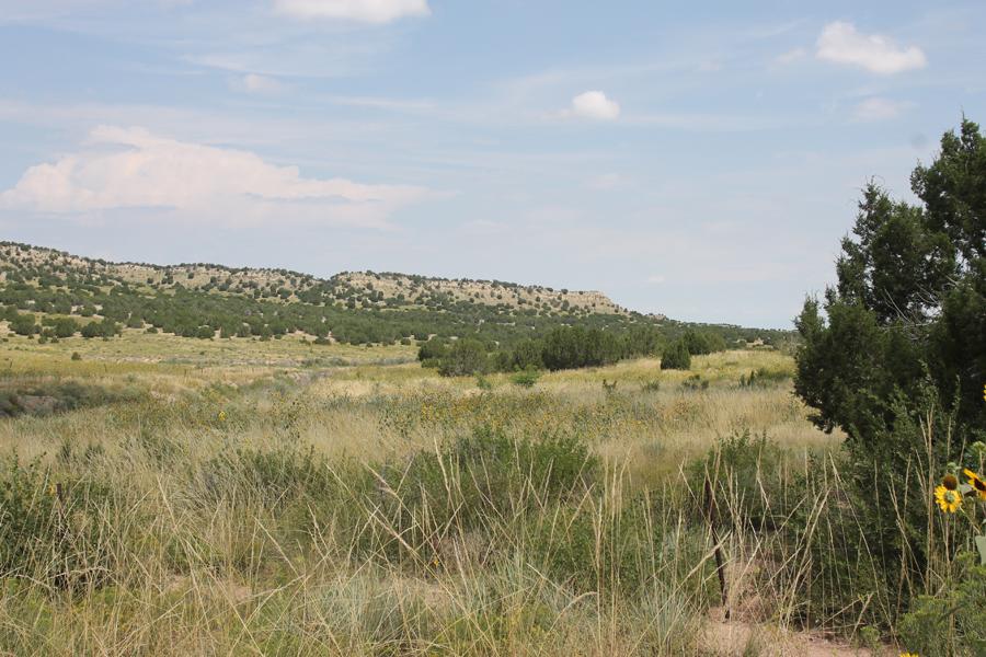 IMPRESSIVE COLORADO CITY LAND! HOME SITE IN PUEBLO COUNTY! START YOUR LAND PORTFOLIO NOW! BID AND AS