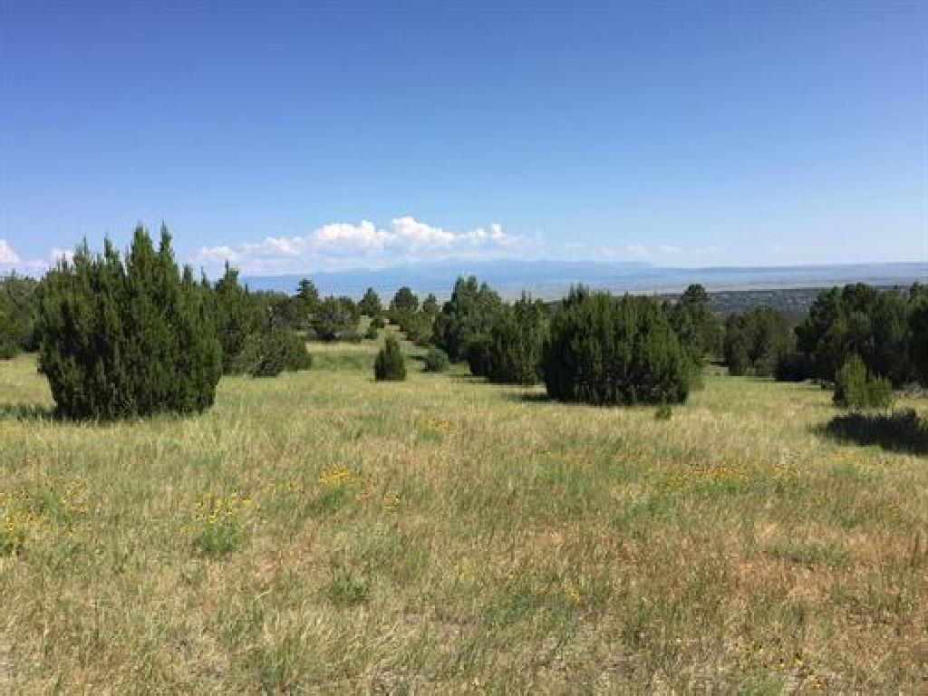 IMPRESSIVE COLORADO CITY LAND! HOME SITE IN PUEBLO COUNTY! START YOUR LAND PORTFOLIO NOW! BID AND AS