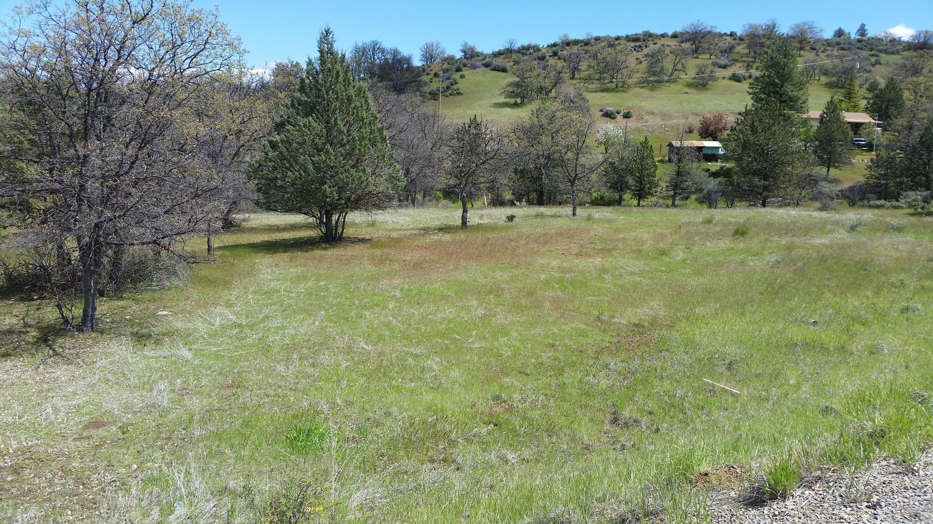 STUNNING KLAMATH RIVER SUBDIVISION LAND IN CALIFORNIA! HOME SITE! START YOUR LAND PORTFOLIO NOW! ASS