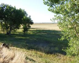 BEAUTIFUL COLORADO CITY LAND! HOME SITE IN PUEBLO COUNTY! EXCELLENT INVESTMENT! FORECLOSURE! JUST TA