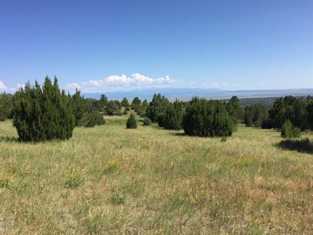 BEAUTIFUL COLORADO CITY LAND! HOME SITE IN PUEBLO COUNTY! EXCELLENT INVESTMENT! FORECLOSURE! JUST TA