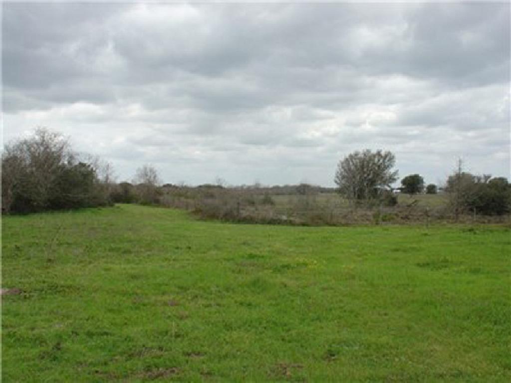 BREATHTAKING TEXAS LAND IN DEERWOOD SUBDIVISION! BID AND ASSUME FORECLOSURE! START YOUR LAND PORTFOL