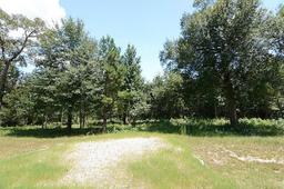 BREATHTAKING TEXAS LAND IN DEERWOOD SUBDIVISION! BID AND ASSUME FORECLOSURE! START YOUR LAND PORTFOL