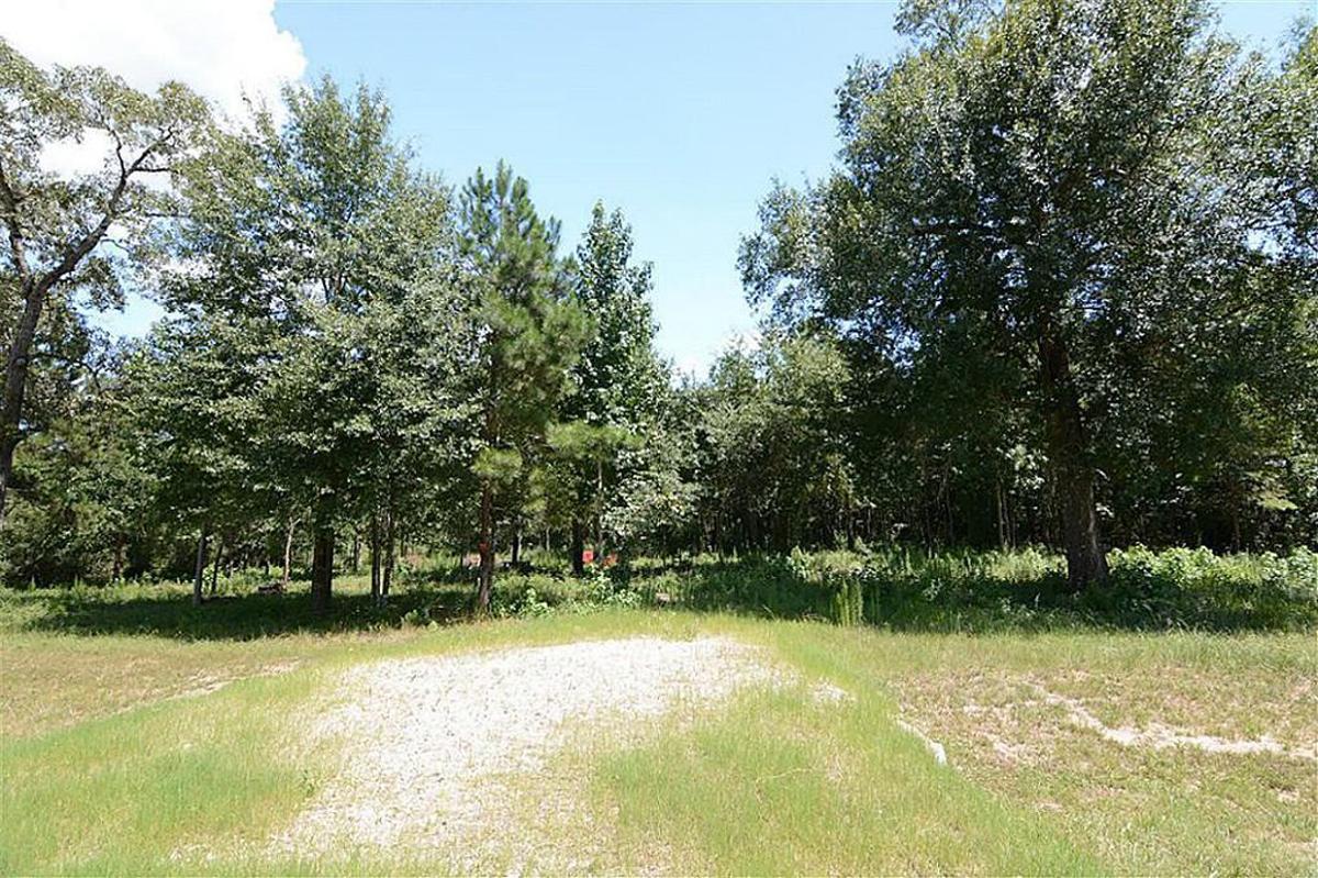 BREATHTAKING TEXAS LAND IN DEERWOOD SUBDIVISION! BID AND ASSUME FORECLOSURE! START YOUR LAND PORTFOL