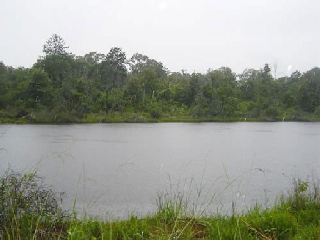 BREATHTAKING TEXAS LAND IN DEERWOOD SUBDIVISION! BID AND ASSUME FORECLOSURE! START YOUR LAND PORTFOL