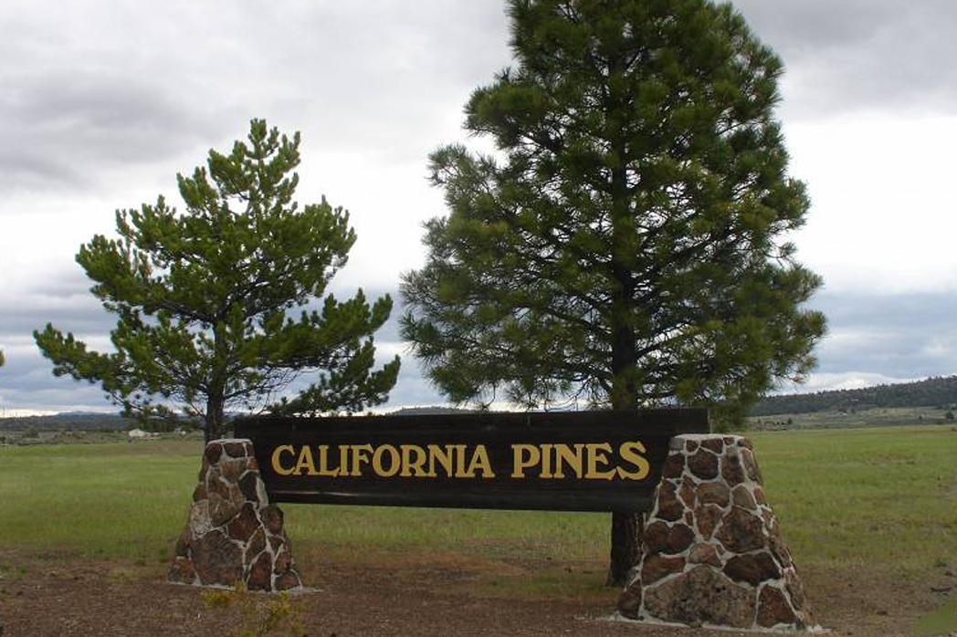 IMPRESSIVE CALIFORNIA LAND IN CALIFORNIA PINES SUBDIVISION! EXCELLENT INVESTMENT! TAKE OVER PAYMENTS