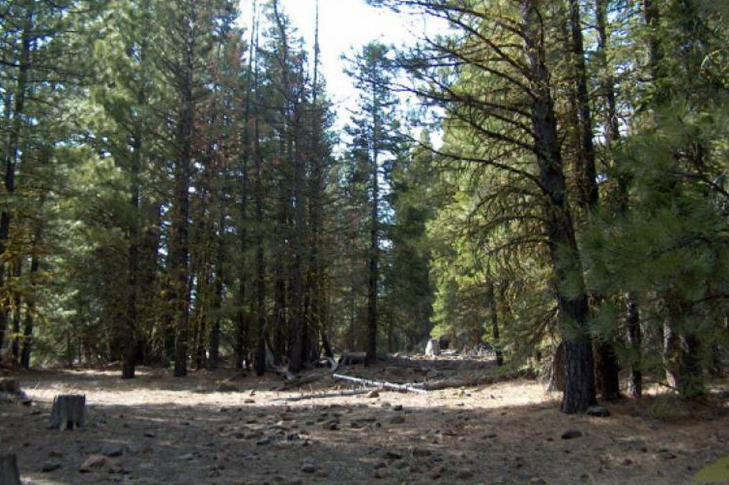 IMPRESSIVE CALIFORNIA LAND IN CALIFORNIA PINES SUBDIVISION! EXCELLENT INVESTMENT! TAKE OVER PAYMENTS