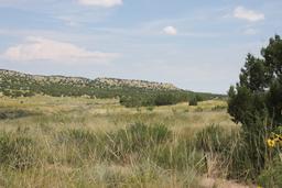 BEAUTIFUL COLORADO CITY LAND! HOME SITE IN PUEBLO COUNTY! INCREDIBLE INVESTMENT! TAKE OVER PAYMENTS!