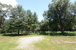 TAKE OVER PAYMENTS! FORECLOSURE! IMPRESSIVE TEXAS SUBDIVISION LAND! BID AND ASSUME! INCREDIBLE INVES