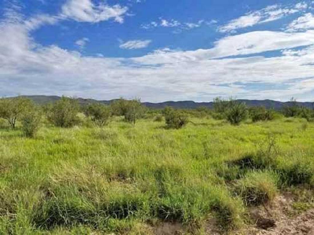 BEAUTIFUL BID AND ASSUME! TAKE OVER PAYMENTS ON THIS 5.01 ACRE PROPERTY IN HUDSPETH COUNTY, TEXAS! S