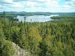 IMPRESSIVE CANADA LAND! 40 ACRES IN ONTARIO! EXCELLENT BUY! FORECLOSURE! JUST TAKE OVER PAYMENTS!