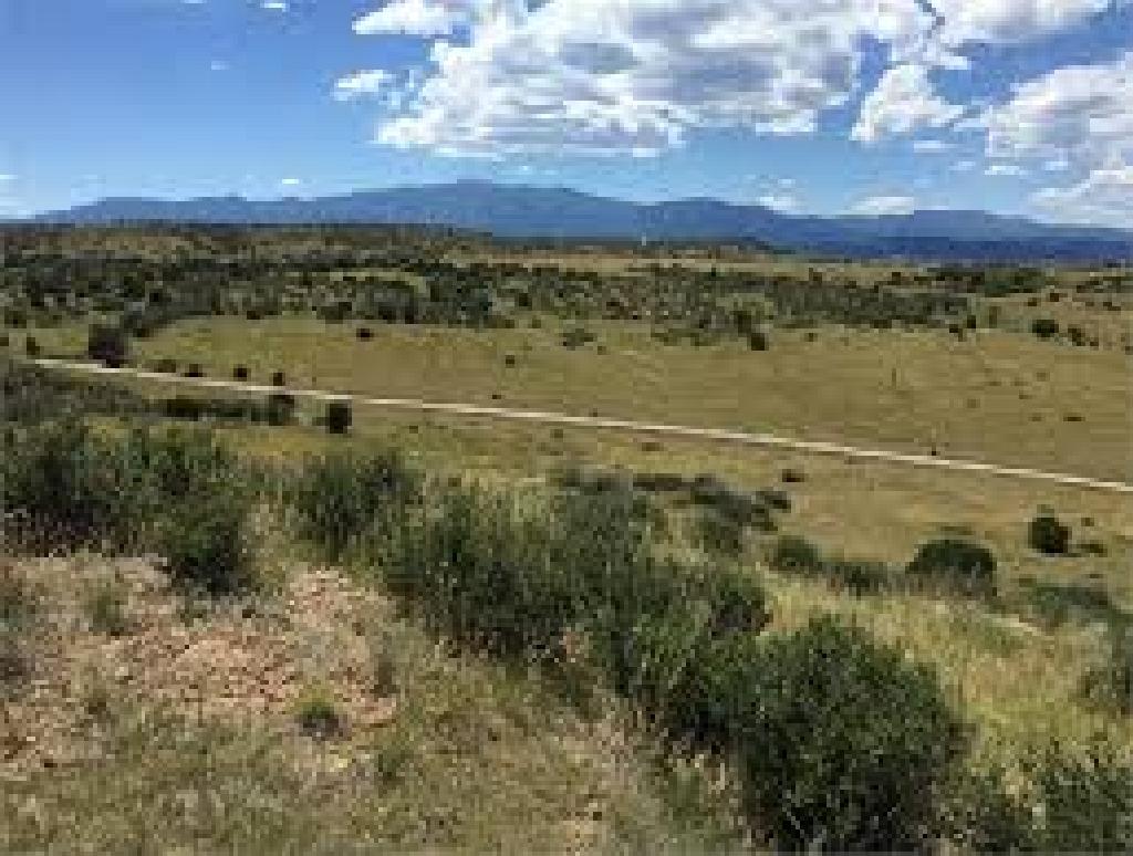 INCREDIBLE COLORADO CITY LAND! HOME SITE IN PUEBLO COUNTY! START YOUR LAND PORTFOLIO NOW! TAKE OVER