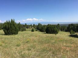 INCREDIBLE COLORADO CITY LAND! HOME SITE IN PUEBLO COUNTY! START YOUR LAND PORTFOLIO NOW! TAKE OVER