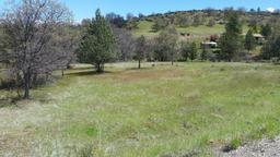 BREATHTAKING KLAMATH RIVER SUBDIVISION IN CALIFORNIA! HOME SITE! CASH SALE! FILE # 1037009.