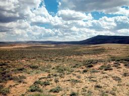 FORECLOSURE! JUST TAKE OVER PAYMENTS! BEAUTIFUL 40 ACRE IN SWEETWATER COUNTY, WYOMING!