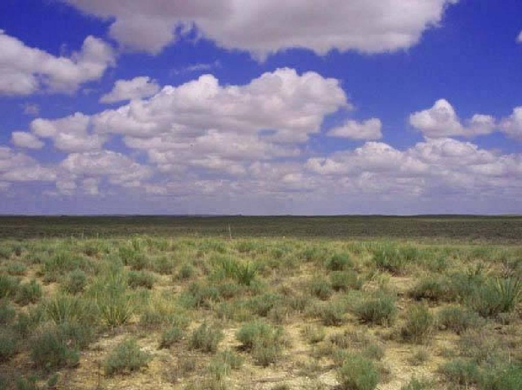 35.32 ACRE STUNNINGCOLORADO  LAND! CASH SALE! EXCELLENT INVESTMENT! FILE #1339015