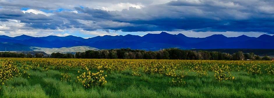 BID AND ASSUME FORECLOSURE! INCREDIBLE 5 ACRE IN COSTILLA COUNTY COLORADO!! BEAUTIFUL VIEWS!