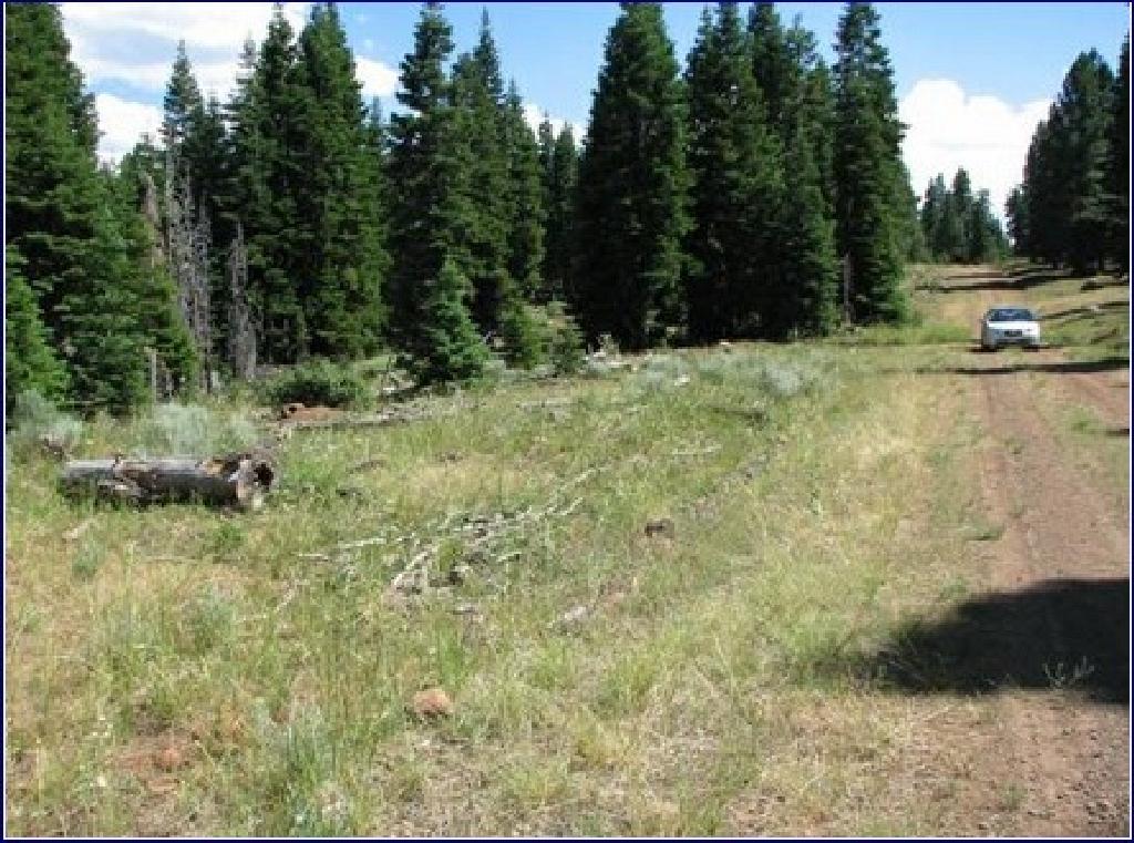 BREATHTAKING CALIFORNIA LAND! CALIFORNIA PINES SUBDIVISION! EXCELLENT INVESTMENT! TAKEOVER PAYMENTS!