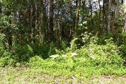 BID AND ASSUMEFORECLOSURE! IMPRESSIVE HAWAII LAND IN THE BIG ISLAND! PARADISE-NANAWALE!