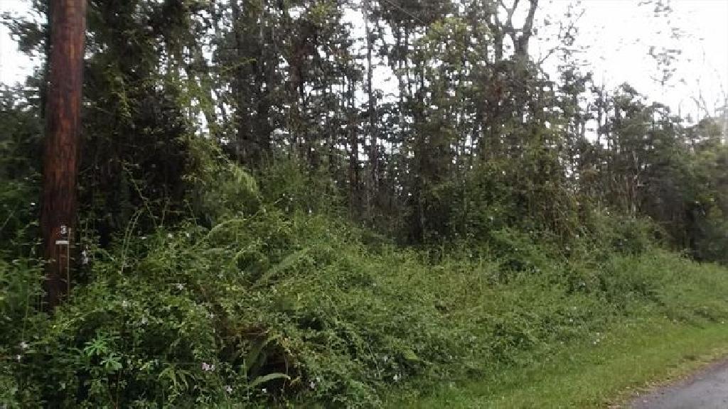 BID AND ASSUMEFORECLOSURE! IMPRESSIVE HAWAII LAND IN THE BIG ISLAND! PARADISE-NANAWALE!