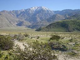 GORGEOUS 2.25 ACRE CALIFORNIA RANCHETTE IN KERN COUNTY! EXCELLENT INVESTMENT! BID AND ASSUME!