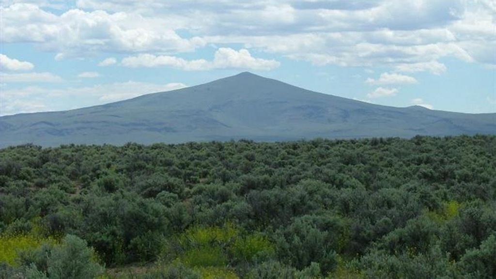 GORGEOUS BID AND ASSUME FORECLOSURE! INCREDIBLE LAND IN LAKE COUNTY, OREGON! GREAT INVESTMENT!