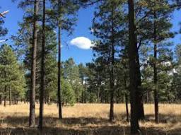 GORGEOUS 10 ACRE IN APACHE COUNTY, ARIZONA! EXCELLENT BUY! TAKE OVER PAYMENTS! FORECLOSURE!
