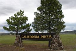 GORGEOUS CALIFORNIA LAND! CALIFORNIA PINES SUBDIVISION! FORECLOSURE! JUST TAKE OVER PAYMENTS!