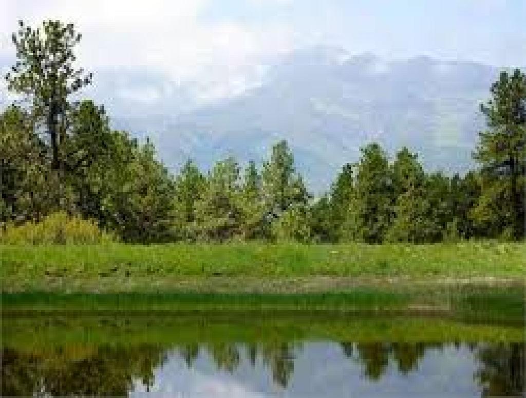 ASSUME PAYMENTS! BEAUTIFUL CO LAND, GOLF AND LAKE COMMUNITY EXCELLENT BUY!