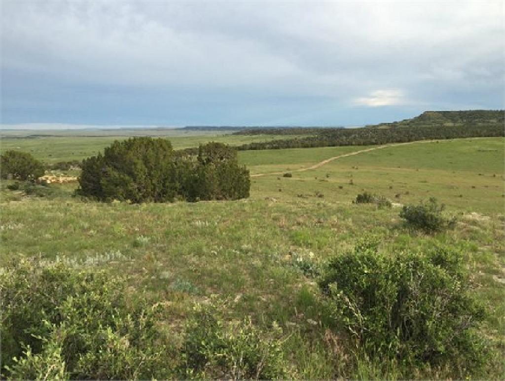 ASSUME PAYMENTS! BEAUTIFUL CO LAND, GOLF AND LAKE COMMUNITY EXCELLENT BUY!