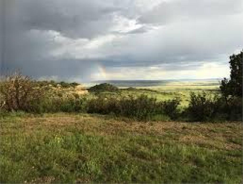 ASSUME PAYMENTS! BEAUTIFUL CO LAND, GOLF AND LAKE COMMUNITY EXCELLENT BUY!