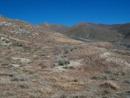 ASSUME PAYMENTS! INCREDIBLE 80.60 ACRE IN PERSHING COUNTY, NEVADA!