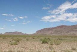 TAKE OVER PAYMENTS! FORECLOSURE! STUNNING 10 ACRE IN LUNA COUNTY, NEW MEXICO INVESTMENT PROPERTY!