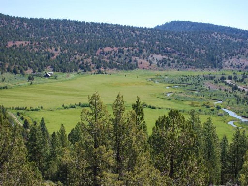 GORGEOUS BID AND ASSUME FORECLOSURE! INCREDIBLE LAND IN LAKE COUNTY, OREGON! GREAT INVESTMENT!